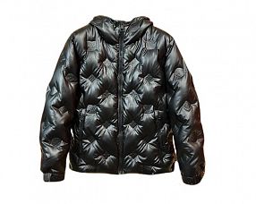 Куртка Louis Vuitton №CL0032